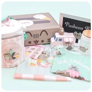 SEALED Summer 2021 Ice Cream Fan Club Pusheen Box